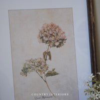 Hydrangea Wall Art with Wooden Frame - Two Designs