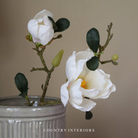 White Magnolia Stem - 40cm