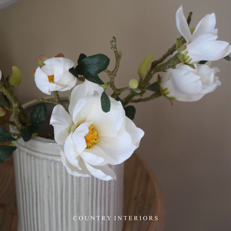 White Magnolia Stem - 40cm