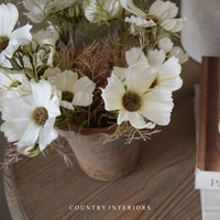 Cream Cosmos Flower Spray