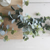 Frosted Eucalyptus Garland - 120cm