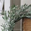 Frosted Mistletoe Wreath - 50cm