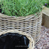 Round Rattan Planters - Three Sizes