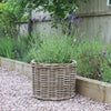 Round Rattan Planters - Three Sizes (Late March)