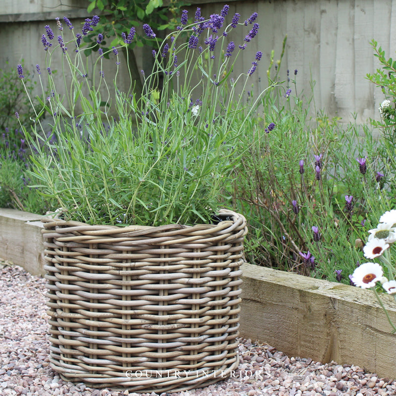 Round Rattan Planters - Three Sizes