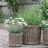 Round Rattan Planters - Three Sizes