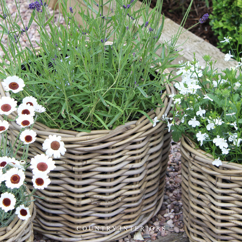 Round Rattan Planters - Three Sizes