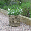 Round Rattan Planters - Three Sizes (Late March)