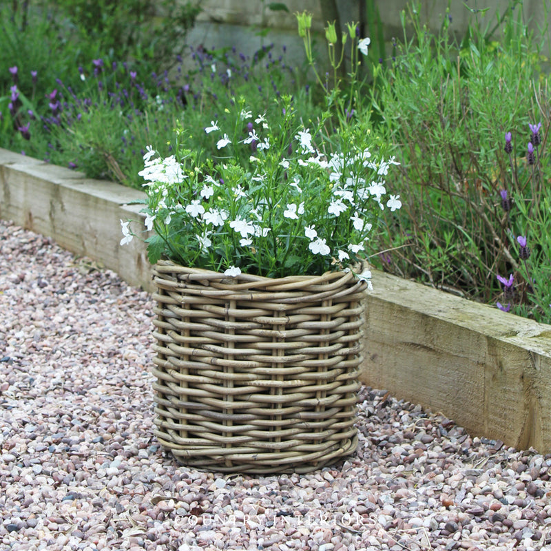 Round Rattan Planters - Three Sizes