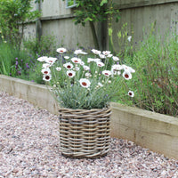 Round Rattan Planters - Three Sizes