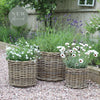 Round Rattan Planters - Three Sizes