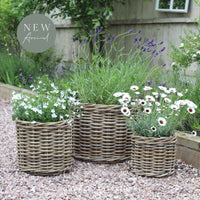 Round Rattan Planters - Three Sizes