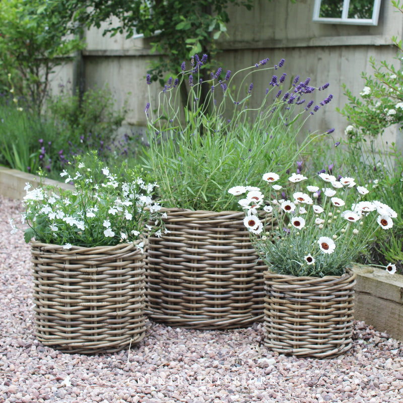 Round Rattan Planters - Three Sizes (Late March)