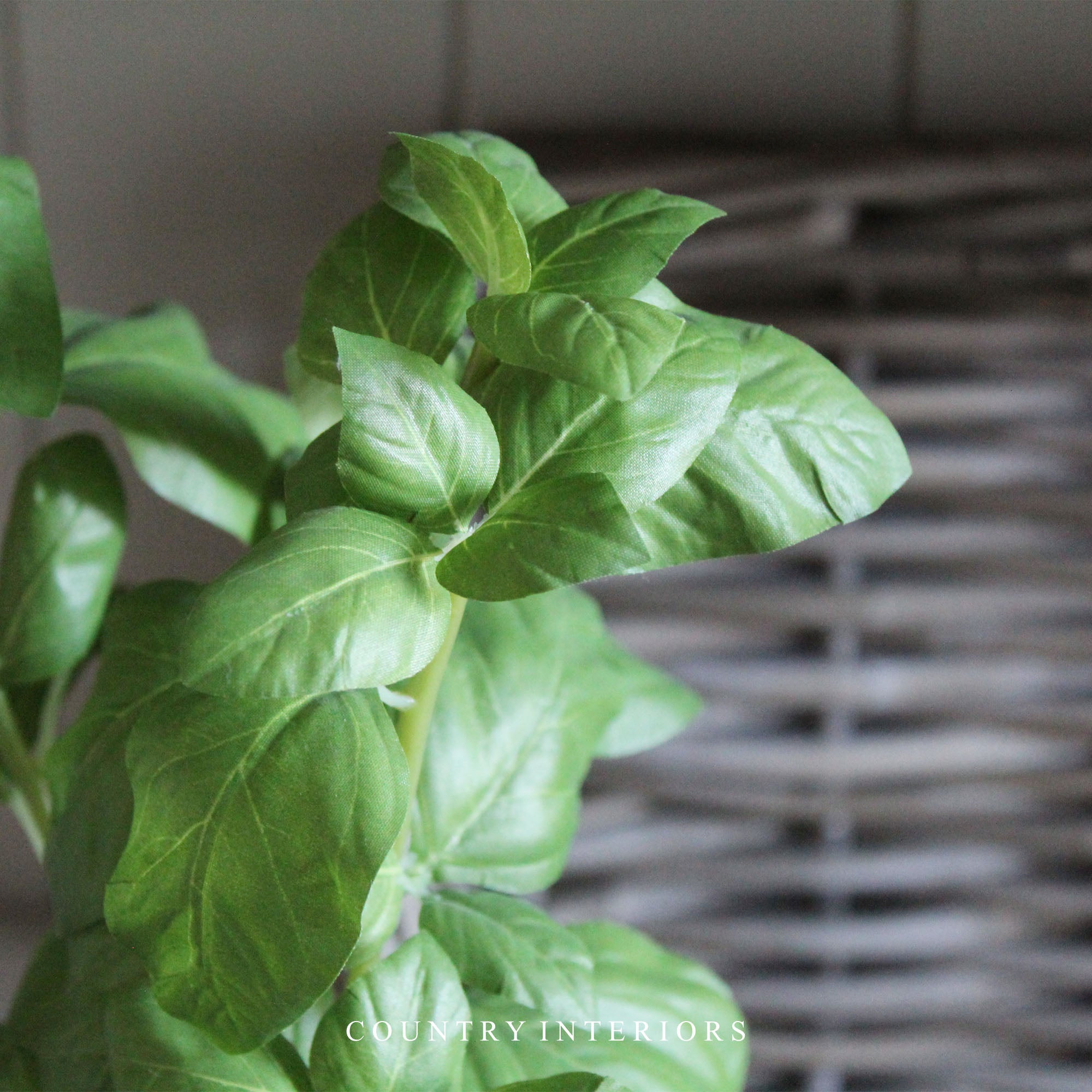 Faux Basil in Black Pot Country Interiors