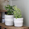 Broadway Stoneware Pot - Two Sizes