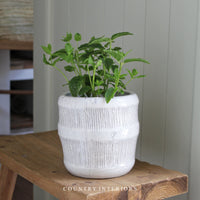 Broadway Stoneware Pot - Two Sizes