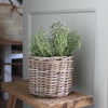 Round Rattan Planters - Three Sizes