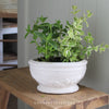 Charlbury Terracotta Plant Pot