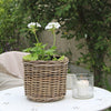 Round Rattan Planters - Three Sizes