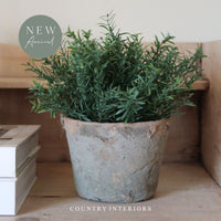 Mini Rosemary Plant Spray - 22cm