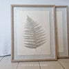 Leaf Wall Art with Natural Beaded Frame - Two Designs