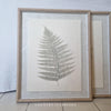 Leaf Wall Art with Natural Beaded Frame - Two Designs