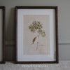 Hydrangea Wall Art with Wooden Frame - Two Designs