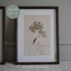 Hydrangea Wall Art with Wooden Frame - Two Designs