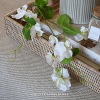 White Sweetpea Spray - 60cm