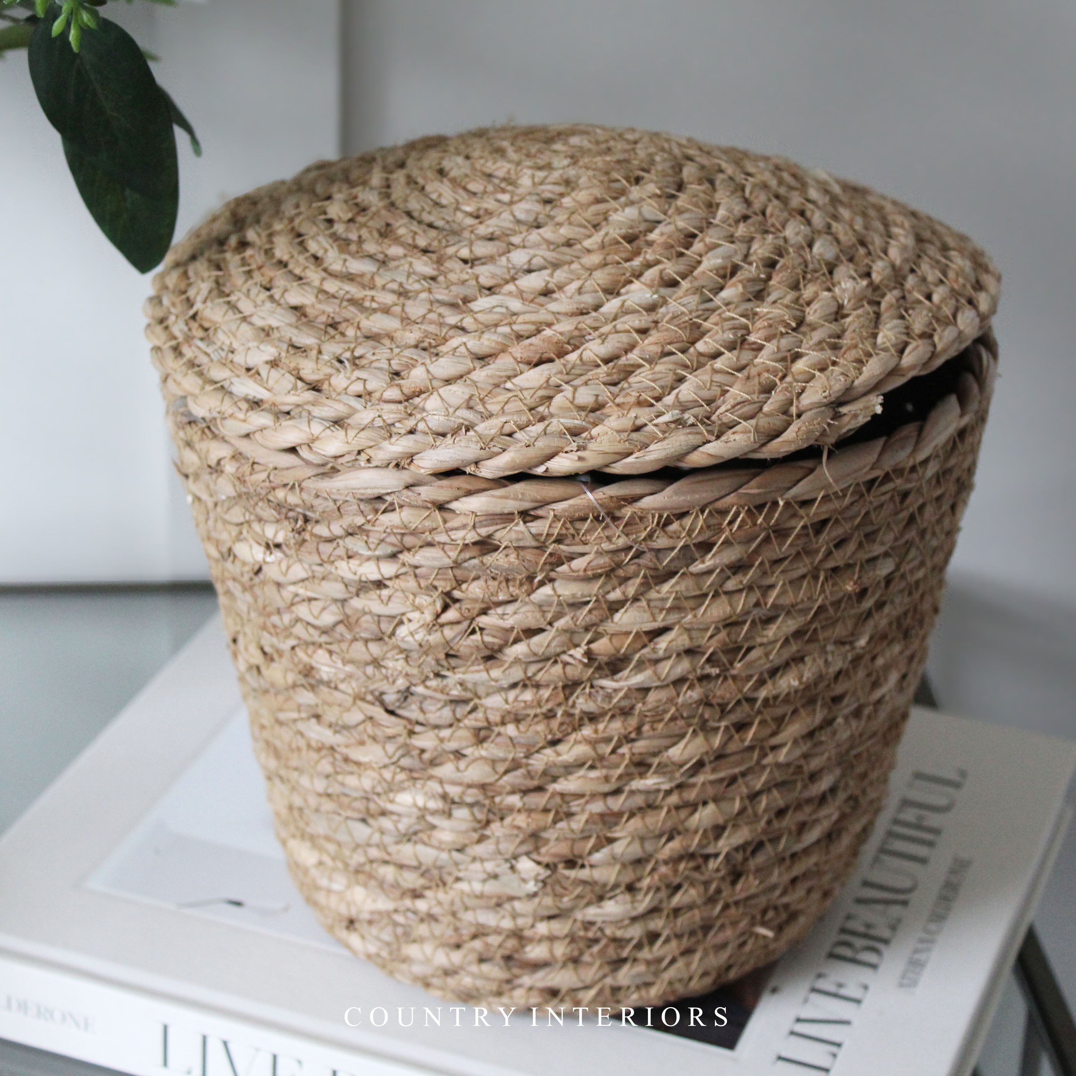 Lidded basket deals